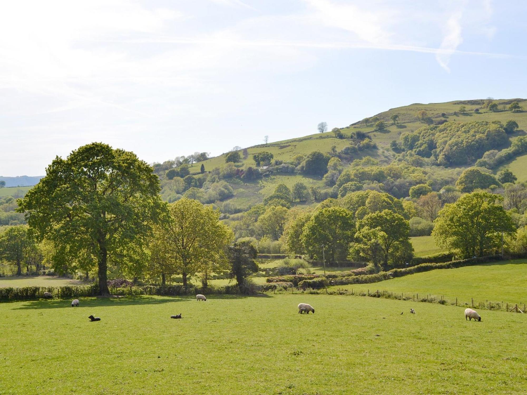 Maes Y Bryn Farmhouse Llanwrda Buitenkant foto